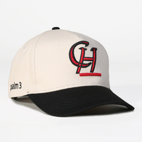 Gorra de Béisbol Personalizada de 5 Paneles, 100% Algodón, Bicolor, para Hombre, con Logotipo Bordado Goras Dad Hat