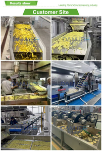 Machine de transformation alimentaire automatique en acier inoxydable DANUBE pour légumes, fruits de mer et fruits, capacité de 1000 à 5000 kg/h, 380V/440V - Product Image 6