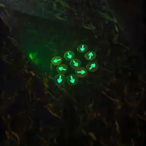 Lampu Indikator Evakuasi Baja Tahan Karat Peralatan dan Aksesoris Pemadam Kebakaran yang Menyala Sendiri - Product Image 6