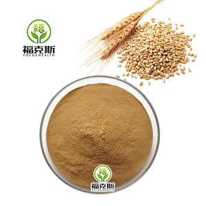 프리미엄 맥아 추출물 분말: 베이킹, 양조, 수제 식품 제조를 위한 천연 감미료 및 풍미 증진제. - Product Image 1