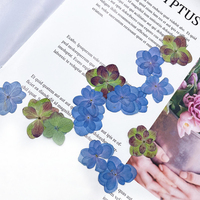 Fiori di Ortensia Essiccati e Pressati per Arte in Resina, Fai da Te, Decorazioni per Matrimoni, Regalo per Mamma, Insegnante, San Valentino, Compleanno, Bomboniera