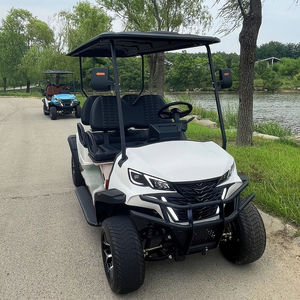 Carrito de Golf en Venta, 4 Plazas, Buggy de Acero para Pasajeros, Mini Carro de Golf Eléctrico con Certificación Dot CE GCC EEC para Carreteras No Públicas - Product Image 1