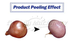 Prix de la machine à éplucher les oignons et l'ail sec - Product Image 2