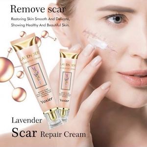 Crème réparatrice de cicatrices à base de plantes à la lavande Yoxier Correction du pigment Lissage de la peau Blanchiment des cicatrices Soins réparateurs rapides Soins confortables En stock - Product Image 4