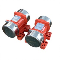 Moteur vibrant à balais CC 12V/24V MVE, indice de protection IP66, 200W, 3000 tr/min, pour véhicules, vibrateur pour camions à benne basculante et malaxeurs à béton (trémie)