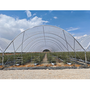 Grandes arches de serre à <span class=keywords><strong>tunnel</strong></span> à travée unique, couvercle rond en acier et verre <span class=keywords><strong>pour</strong></span> l'agriculture <span class=keywords><strong>pour</strong></span> la culture de légumes - Product Image 1