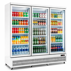 Réfrigérateur commercial vertical avec porte vitrée pour boissons, idéal pour les magasins - Fournisseur direct usine - Product Image 5