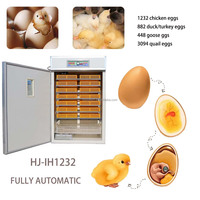 Incubateur d'œufs de cailles HJ-IH1232 pour 3000 œufs