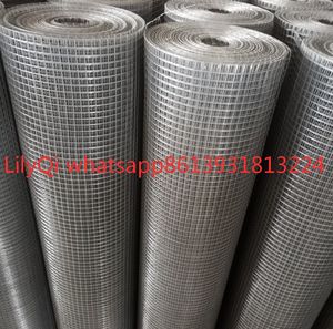 <span class=keywords><strong>Malla</strong></span> cuadrada de alambre de acero <span class=keywords><strong>inoxidable</strong></span> para tractores de pollo Coop <span class=keywords><strong>Malla</strong></span> industrial/loro/ratón/serpiente/pájaro/jaula de conejo/<span class=keywords><strong>Malla</strong></span> Protectora - Product Image 6