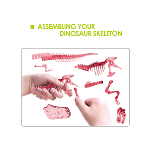 Đồ Chơi Mô Hình Bộ Khai Quật Hóa Thạch Bộ Xương Lắp Ráp Học Tập Triceratops Dạ Quang Cho Trẻ Em Thế Giới Khủng Long Đào Kỷ Jura - Product Image 3