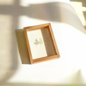 Khung ảnh bằng gỗ trong suốt khung ảnh bằng gỗ trang trí hai mặt kính herbarium khung gỗ - Product Image 3