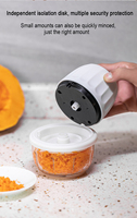 RAYBIN cuisine usb mini portable sans fil ail fruits légumes outils oignon nourriture électrique coupe-légumes