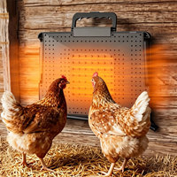 Chauffe-poussins WONEGG 2026 à angle réglable pour différentes étapes de croissance
