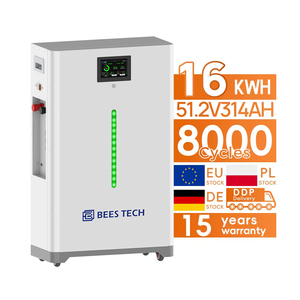 EU Cổ 314ah 330ah 320ah treo tường LiFePO4 lithium năng lượng lưu trữ năng lượng pin năng lượng mặt trời gói tự làm Hộp kit 48V 51.2V thông minh BMS 16kwh - Product Image 1