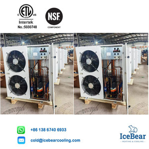 Tiết Kiệm Năng Lượng Nhiệt Độ Thấp R507A 4HP Loại Hộp Đơn Vị Ngưng Tụ Làm Mát Bằng Không Khí Máy Nén Lạnh Cho Xe Tải Lạnh Làm Mát - Product Image 6