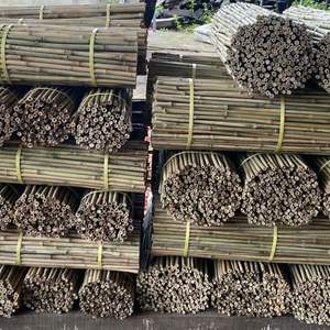 Postes de bambú natural de buen precio Postes de bambú tratados de 3m de Vietnam para enrejado de jardín y soporte de cultivos del proveedor de fábrica - Product Image 6