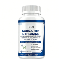 GABA 5-HTP L-Théanine Ashwagandha Mélisse Ginkgo Biloba Oméga 3 Vitamines D3 B6 B12 120 Capsules Végétaliennes Complément Améliorateur
