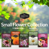 Set peralatan kebun koleksi bunga 5 buah-Hollyhock dan Shasta Daisy dan Coneflower dan Marigold dan Zinnia