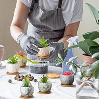 Pot de fleurs en céramique marbrée 3,35 pouces, écologique, léger, pour plantes succulentes, cactus, herbes, avec trou de drainage, finition mate, moderne
