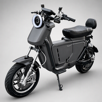 Motocicleta Eléctrica Todoterreno Rental Club de 2000W, 16 Pulgadas, 48V 60V 72V