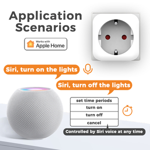 Vấn đề trên chủ đề thông minh cắm Ổ cắm EU 16A 3680W thông minh cắm ứng dụng điều khiển bằng giọng nói điều khiển thời gian - Product Image 5