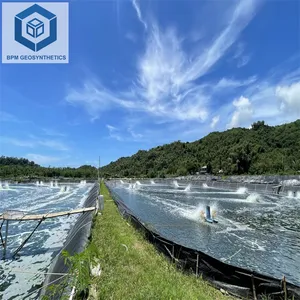 0.2毫米黑色衬里材料巨大的池塘衬里养殖池塘衬里HDPE土工膜用于印度尼西亚的虾塘