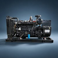 Groupe électrogène silencieux/ouvert au gaz naturel et au biogaz, sur mesure, avec configuration de couleur et de taille personnalisées pour les projets d'ingénierie