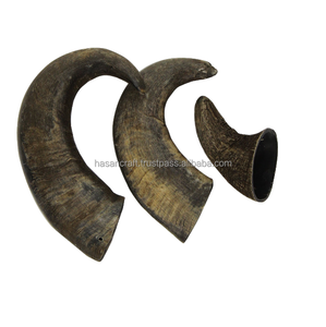 Corne imboulé naturel en forme de Viking, 5 m, à boire, style Viking, vente en gros - Product Image 2