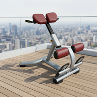 Chaise romaine réglable pour l'hyperextension, banc d'extension dorsale et rack pour l'entraînement musculaire