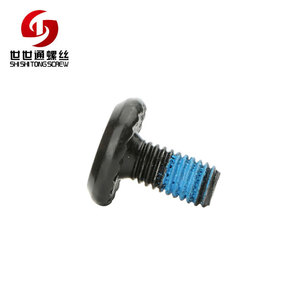 Bán buôn Đảm bảo chất lượng Ổ cắm Hex Ổ khóa không trượt Đầu vít Đường sắt nhẹ Vít đặc biệt - Product Image 6