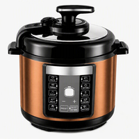 Cuisinière électrique à pression OEM 220-240V 5L en acier inoxydable avec revêtement antiadhésif, écran LED programmable 10-en-1, certifiée CB CE RoHS LFGB