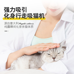 Spray à la catnip pour chats, 200g, collation pour animaux de compagnie, agent apaisant, friandise pour chatons et chats adultes - Product Image 1