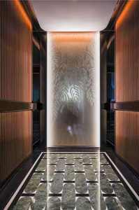 Ascensor Residencial para Viviendas, Ascensor/Elevador para Pasajeros o de Observación o Decoración de Ascensor/Automóvil Original Otis - Product Image 2