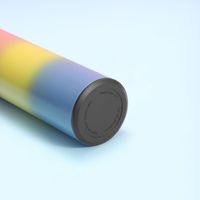 Bouteille d'eau avec affichage de la température LED Bouteille d'eau isolée sous vide à double paroi, bouteille de voyage de sport en acier inoxydable