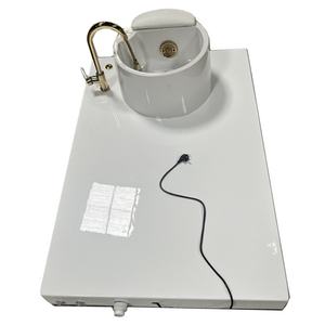 Bain de pieds pour pédicure, équipement de salon populaire, bain de pieds en porcelaine blanche avec plateforme pour les soins de beauté à domicile - Product Image 1