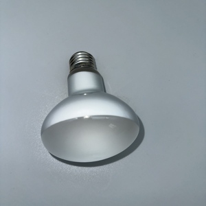 Lampe chauffante infrarouge classique ronde en verre pour <span class=keywords><strong>reptiles</strong></span>, 25W 50W 75W 100W, lumière du jour, lumière lunaire, UVA, pour toutes les saisons - Product Image 5