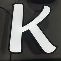Enseigne lumineuse LED personnalisée, lettres en acrylique 3D, lettres en relief lumineuses, étanches, en acier inoxydable, enseigne de logo d'entreprise pour devanture de magasin