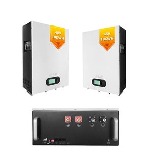 แบตเตอรี่เก็บพลังงานแสงอาทิตย์ติดผนังบ้าน 51.2V 48V 100ah 200ah แบตเตอรี่ลิเธียมไอออนสำหรับบ้าน 5kwh 10kwh - Product Image 6
