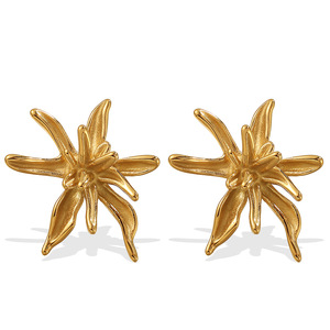 Boucles d'oreilles clous en acier inoxydable plaqué or 18 carats, design irrégulier pour femmes - Product Image 5