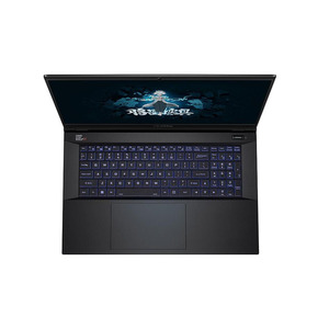 โน้ตบุ๊คสีสันสดใส X17 Pro I9-12900H การ์ดจอ RTX 3070Ti หน่วยความจำ 16G ขายดี X17 Pro 16GB โน้ตบุ๊คขายดี X1 - Product Image 5