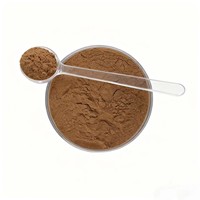 Poudre d'extrait de réglisse (qualité supérieure) – Extrait végétal obtenu par solvant, certifié Halal, Acide glycyrrhizique >3-5% HPLC