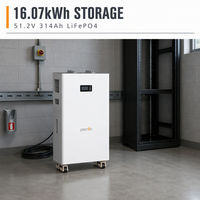Batterie de rack de serveur 16,07 kWh pour stockage de ferme solaire, 51,2 V 314 Ah LiFePO4, compatible chargement en conteneur