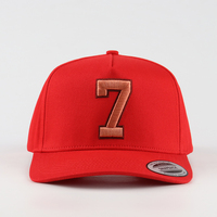 Casquette de baseball unisexe personnalisée de style streetwear haut de gamme avec visière incurvée, broderie 3D en relief, idéale pour le hip-hop, la randonnée, la gym et le fitness, 100 % polyester