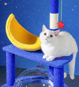 Nuovo gatto <span class=keywords><strong>albero</strong></span> <span class=keywords><strong>albero</strong></span> di velluto carino gatto con la palla appesa bastoni <span class=keywords><strong>per</strong></span> graffiare <span class=keywords><strong>per</strong></span> gatto struttura arrampicata - Product Image 6