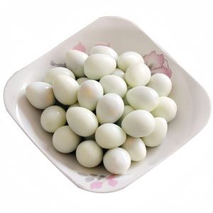 Feilong Offre Spéciale 850g 1 Œuf <span class=keywords><strong>de</strong></span> caille bouilli en conserve Aliments en coquille biologiques frais en vert Produits d'œufs <span class=keywords><strong>de</strong></span> qualité supérieure avec 50% <span class=keywords><strong>de</strong></span> solides - Product Image 5