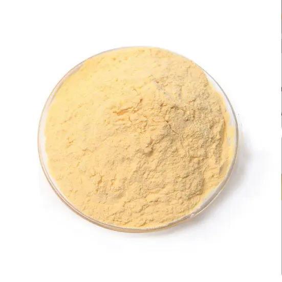 Hot Selling Papaya Fruit Powder Extract/papaya enzyme powder