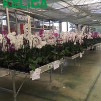 Serre PC complète pour l'agriculture Serre de fleurs à vendre