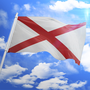 Logotipo de la bandera de los Estados Unidos, producto promocional, envío rápido, 3x5 pies, 100% poliéster, se utiliza en la escuela, personalizado - Product Image 2