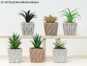 Macetas para Plantas Suculentas en Oferta, Macetas de Cemento Artificial para Plantas, Decoración Creativa de Escritorio con Plantas Suculentas - Product Image 6