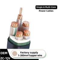 Câble d'alimentation industriel 0,6/1 kV ZC-YJV-3x95+2x50mm isolé XLPE pour construction ferroviaire et centrale électrique, cuivre sans oxygène 30A